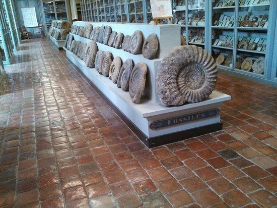 Musée Municipal