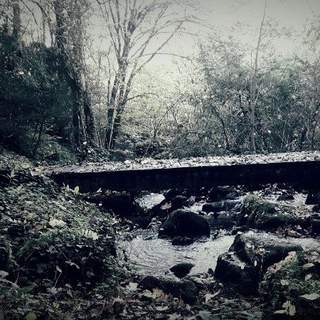 les gorges de Narval