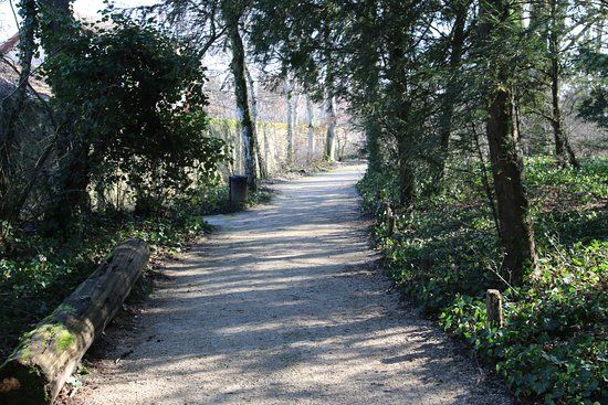 le parc de la Creuzotte
