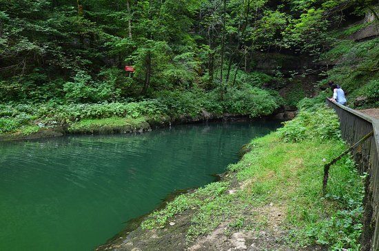 Source de l'Ain