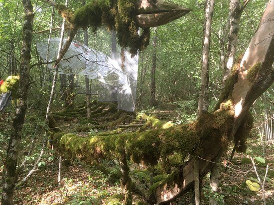 La forêt du Géant Vert
