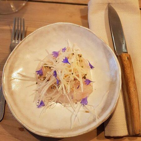 Cibo