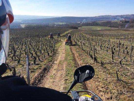 Quad Vignes et Chateaux