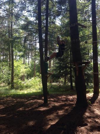 In'Forest