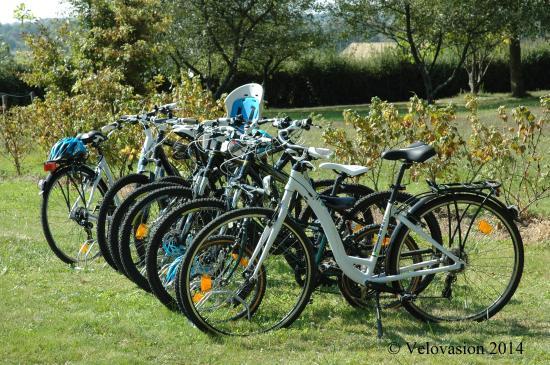 Velovasion