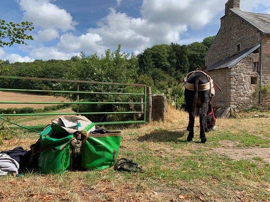 Les Escapades de Steph'Anes - Day Tour