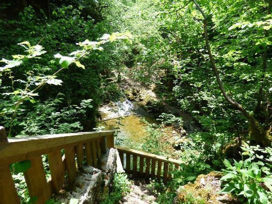 Gorges de l'Abîme