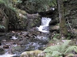 Gorges de la Canche