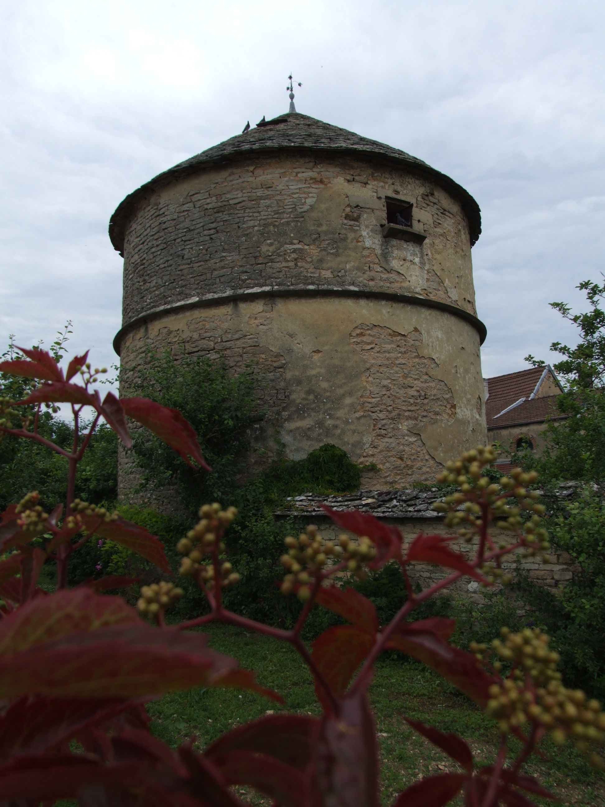 colombier de Marsannay-la-Côte